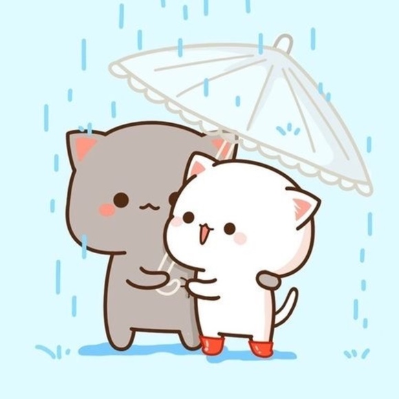 Meet your Posher, Chelsea - Picture 1 of 1